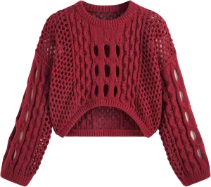 CIDER Cropped Sweaters for Women Knit Round Neckline Hollow Out Long Sleeve Crop Top Sweaters