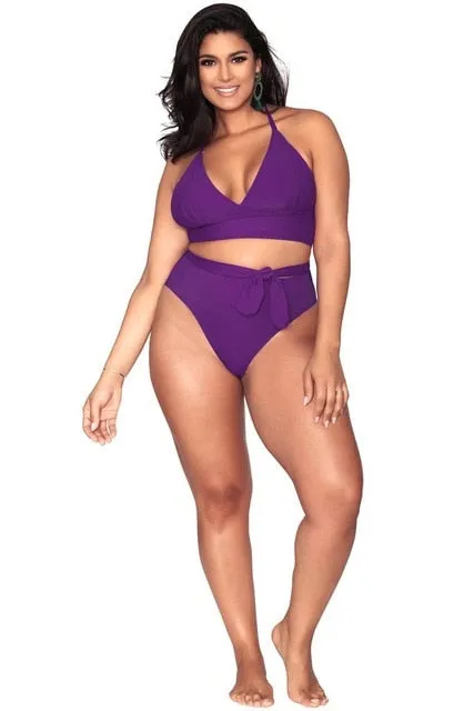 High Waisted Plus Size Bikini Set